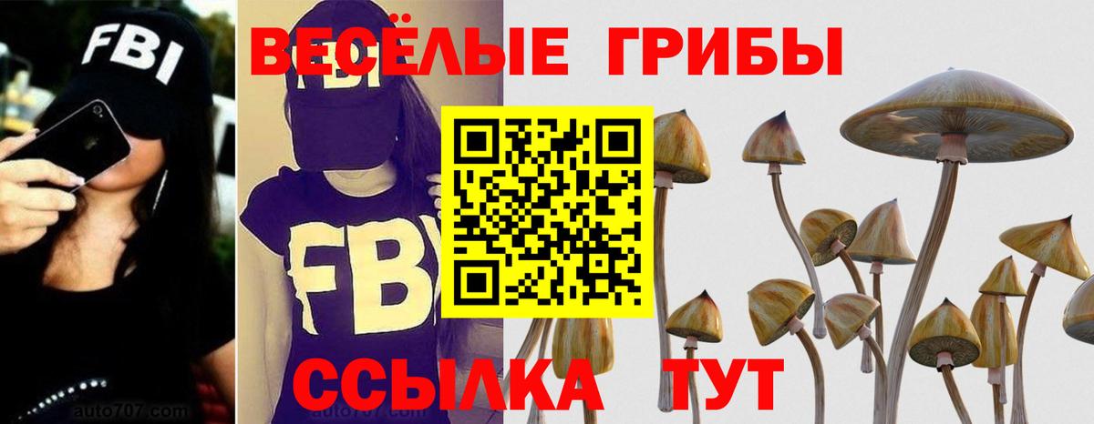 Псилоцибиновые грибы Magic Shrooms Братск